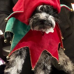 Meet your Posher, Nathalie